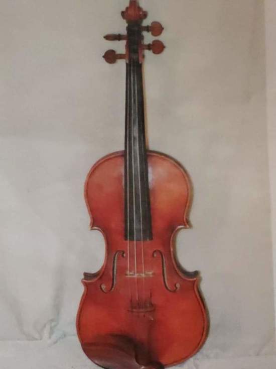 У сына концертмейстера Мариинки украли скрипку стоимостью 220 тысяч рублей