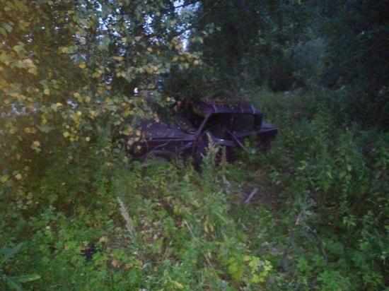 Пьяный водитель без прав столкнулся с деревом в Тверской области