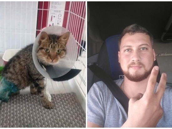 В Екатеринбурге спасли травмированного кота, которого дальнобойщик вез 17 часов