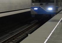 Досадным поражением для столичного метро закончилась попытка отсудить около 15 тысяч рублей у москвича, случайно упавшего на пути под прибывающий поезд в апреле этого года