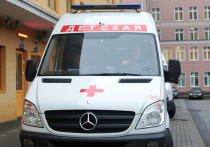 Двое маленьких детей пострадали в пятницу утром при пожаре в городе Щербинка в Новой Москве
