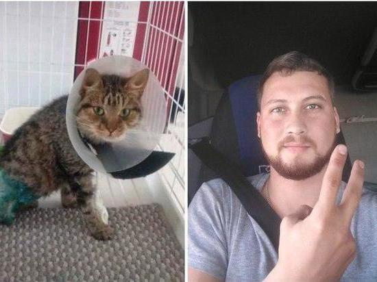 Дальнобойщик из Саратова спас котенка в Башкирии и сдал его ветеринарам в Екатеринбурге