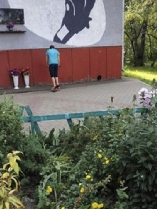 У памятной доски на доме Ивана Ткаченко сломали цветник