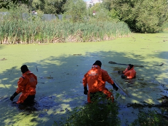 В Туле спасатели ныряли в пруд за мусором