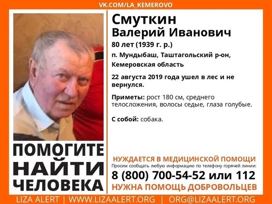 Пенсионер с собакой пропал в тайге в Кузбассе