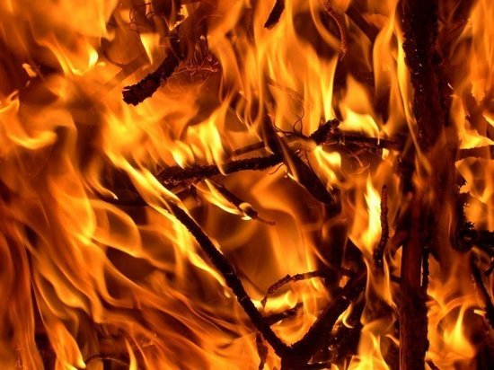 В Бурятии ликвидированы два лесных пожара