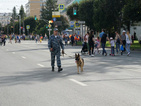 Девять нарушителей порядка задержали чебоксарские полицейские в День города