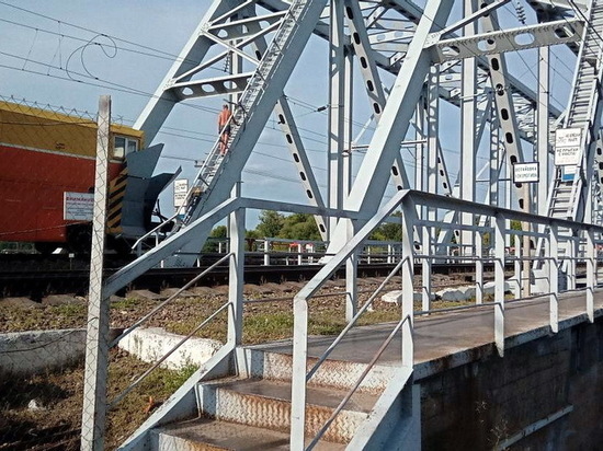Воронежский «экстремал» залез в плавках на железнодорожный мост