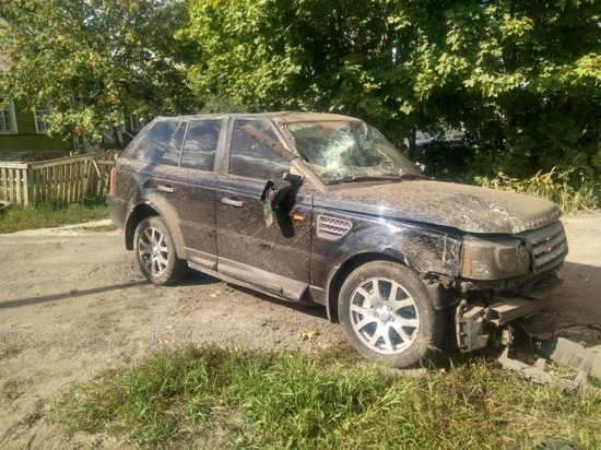 Пятилетний ребенок пострадал в ДТП в Рязанской области