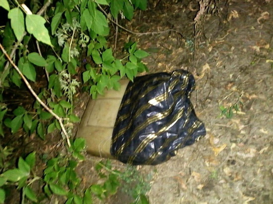 В Воронежской области нашли тайник с 17 кг контрабандной ртути