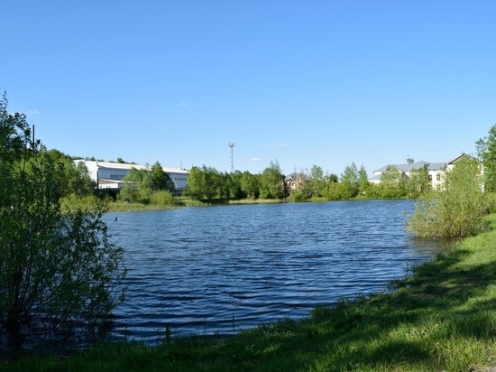 Уникальный уголок природы может исчезнуть в Бийске