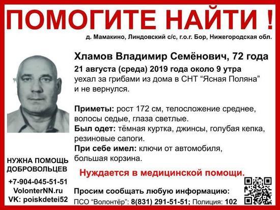 В Нижегородской области пятые сутки ищут 72-летнего Владимира Хламова