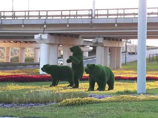 Три зеленых медведя появились на въезде в Калугу
