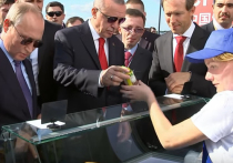 Многие умилились сценой, в которой президент России Владимир Путин купил своему турецкому коллеге Эрдогану мороженое на авиасалоне в Жуковском