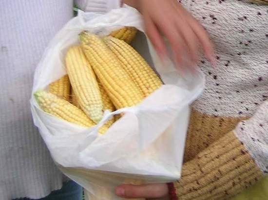 На МАКСе начали продавать кукурузу, якобы с поля посадки А321
