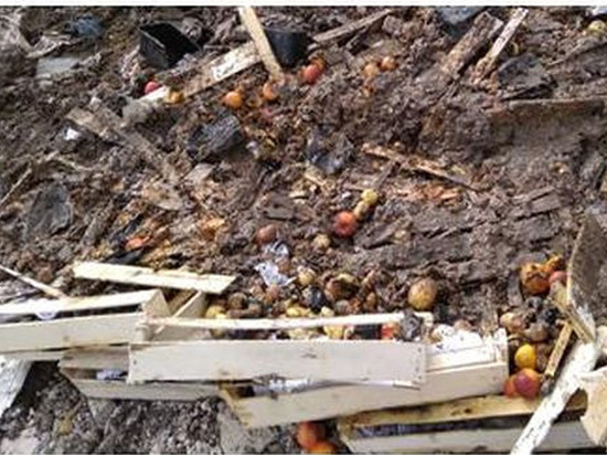 700 кг подозрительных нектаринов уничтожили в Чебоксарах