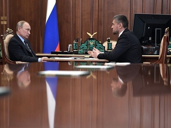 Осипов доложил Путину о работе по устранению последствий пожаров