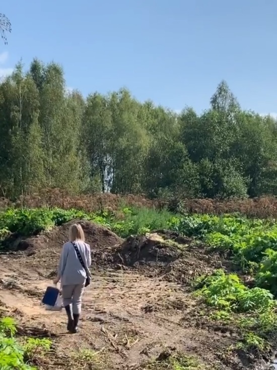 В пригороде Ярославля обнаружена несанкционированная свалка и отстойник фекалий