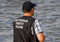 Следственный комитет начал проверку после обнаружения в Москве-реке тела президента компании Global Safe Group Дениса Щепетьева