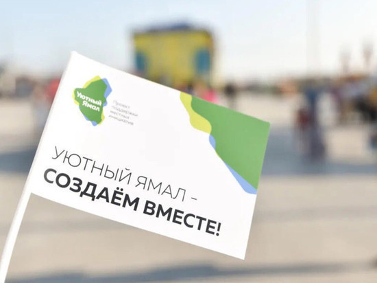 Эксперты отобрали проекты благоустройства Ямала для голосования