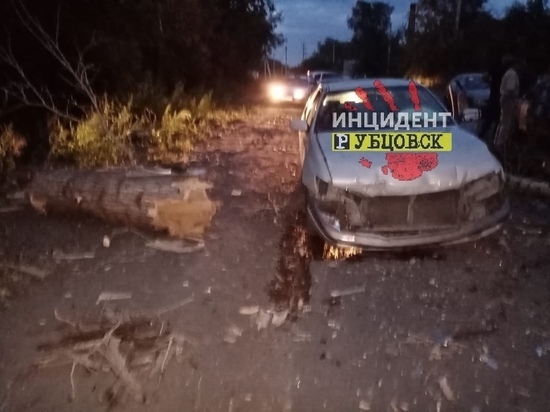 Рухнувший тополь раздавил два автомобиля в Рубцовске