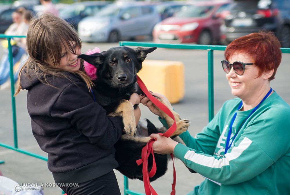 Пойдем домой: трогательные кадры встречи бездомных животных и их новых хозяев в Петрозаводске