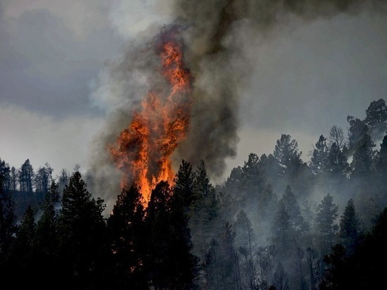 Забайкалье третий день лидирует по числу лесных пожаров в России