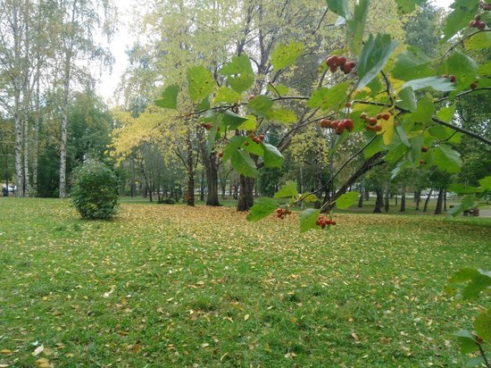 К концу недели в Перми потеплеет