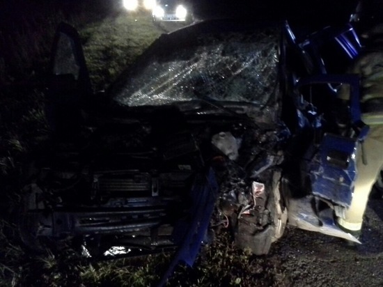 Водитель «двенадцатой» погиб в лобовом ДТП в Чувашии