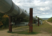 Компания «Нефтеперевалка», владеющая узлом учета нефти в Самарской области, через который в нефтепровод «Дружба» предположительно было выброшено загрязненное хлорорганикой сырье, сменила собственника