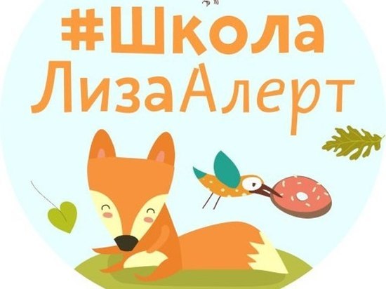 Ивановские поисковики возобновляют школу «Лиза Алерт»