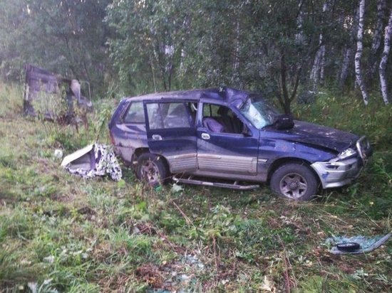 Гости Кузбасса из Архангельска ищут помощи после ДТП с конём и коровой