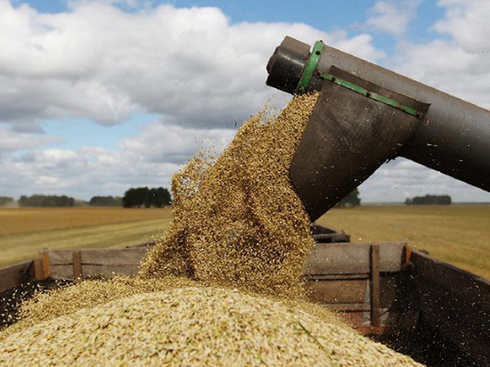 По прогнозам Смоленщина получит более 289 000 тонн зерна