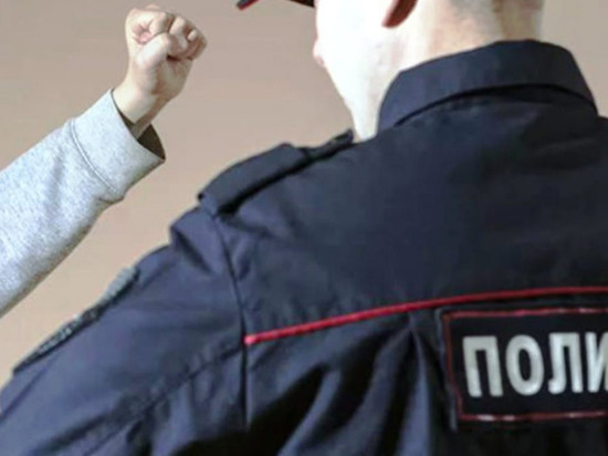 Новочебоксарца осудили за удар в челюсть полицейскому