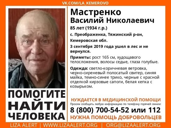 Пожилой кузбассовец в белой кепке ушёл в лес и не вернулся