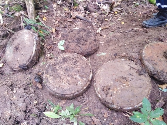 Тульские поисковики нашли схрон с немецкими противотанковыми минами