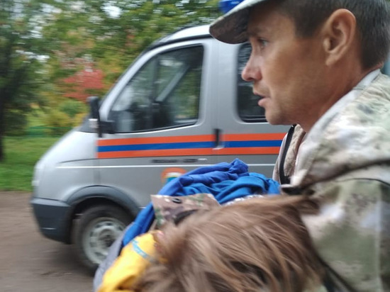 Пропавшая в лесу Вологодчины 2-летняя девочка найдена живой