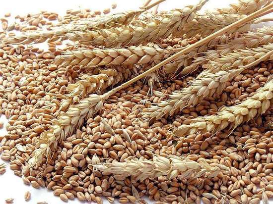 В Калмыкии подведены предварительные итоги уборки зерновых