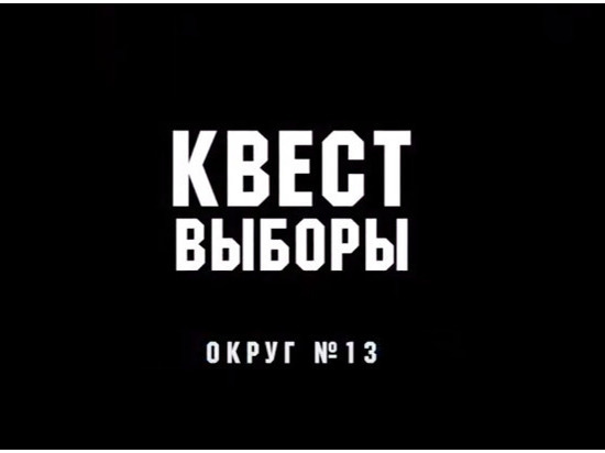 Полицию заинтересовал юмористический ролик о выборах в Пскове