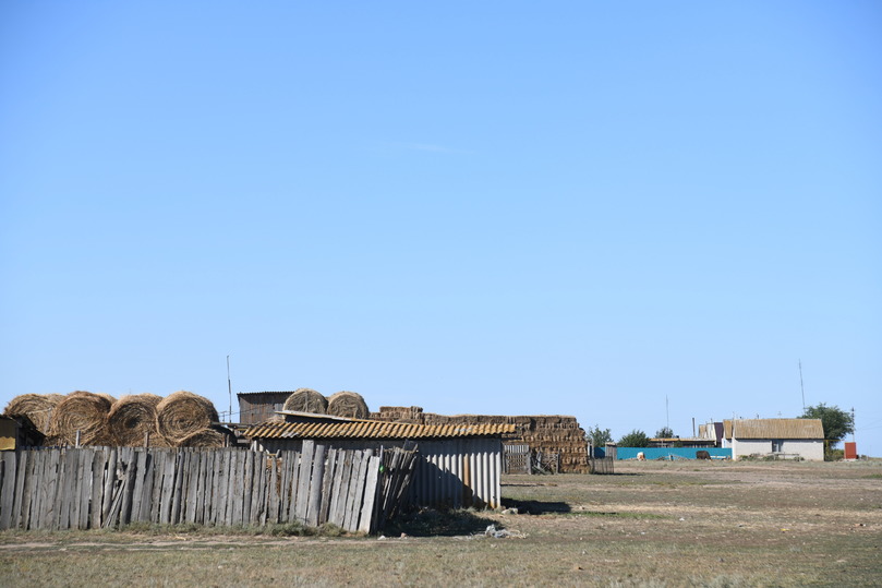 Село заря