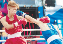 В Екатеринбурге с 8 по 21 сентября пройдет чемпионат мира по боксу