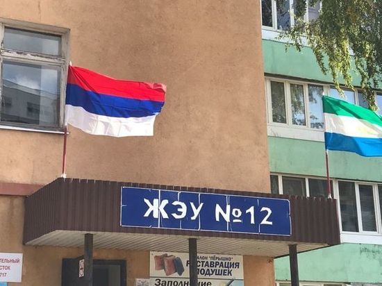 В Башкирии на УИКе перепутали российский флаг с сербским