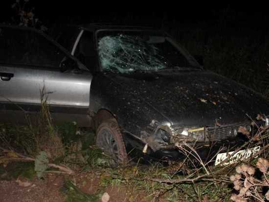 В Свердловской области пьяный водитель на Audi сбил насмерть мужчину