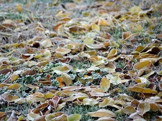 Заморозки ожидаются в Забайкалье в ночь на 10 сентября