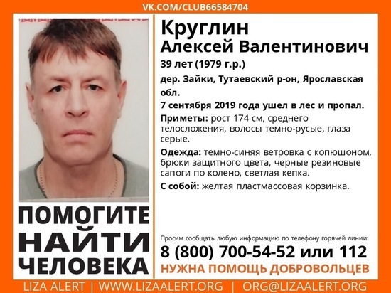 В Ярославской области пропал 39-летний грибник