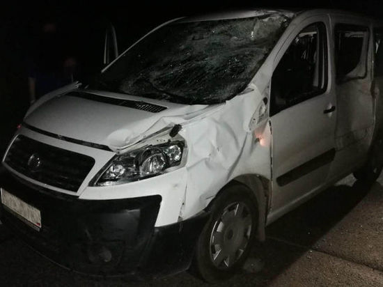 Четверо пострадавших: под Рыбинском произошло очередное столкновение лося и автомобиля