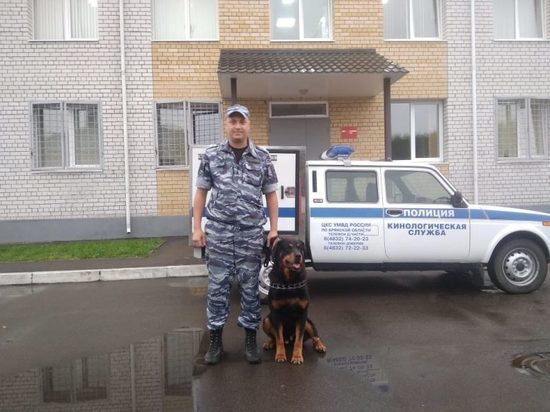 В Брянске полицейская собака Тайсон нашла подозреваемого в краже