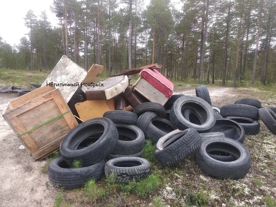 Неизвестные устроили свалку крупногабаритного мусора в Ноябрьске