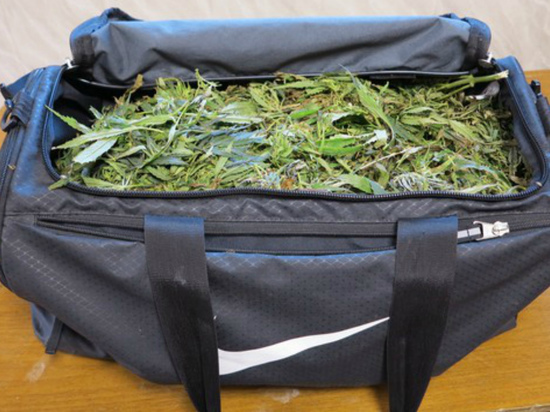 В Брянске пассажир рейсового автобуса попался с сумками, набитыми марихуаной