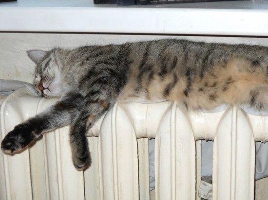 Отопление в Красноярске включат на 3 дня раньше